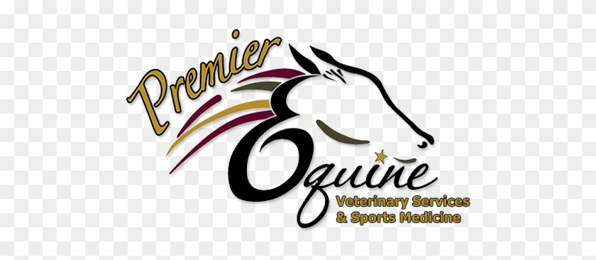 Veterinary Physician #964980