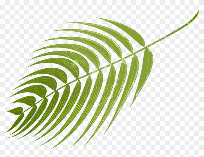 My Palm Vectors Are On Pixabaay - Clip Art #966390