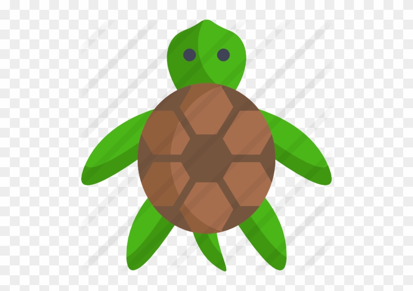 Turtle - Chelonoidis #967087