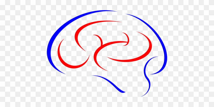 Brain Thinking Abstract Human Anatomy Head - Brain #967280
