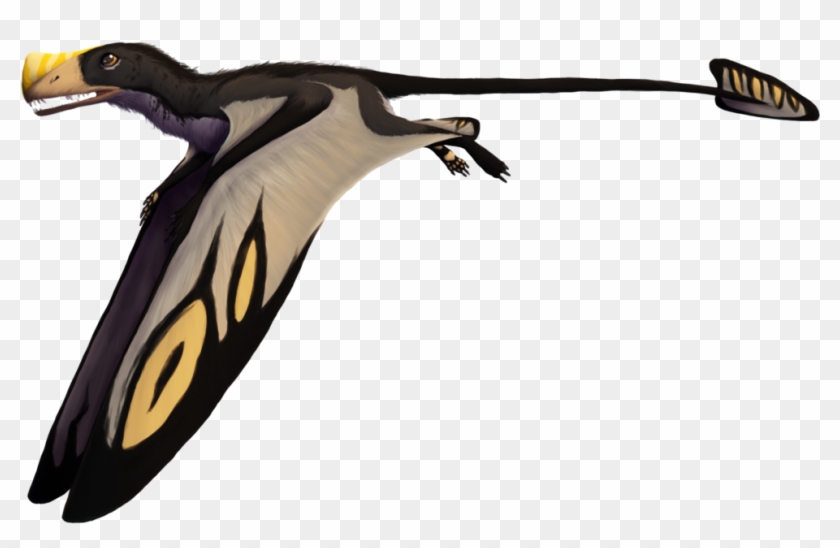 Austriadactylus By Rae-elic - Austriadactylus #967301