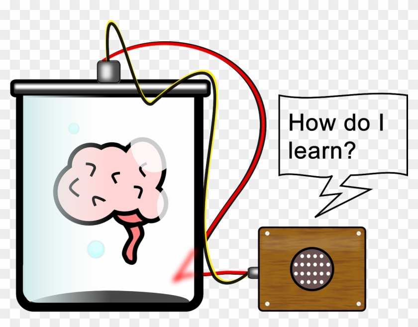 Discover Learni - - Brain In A Vat #967309