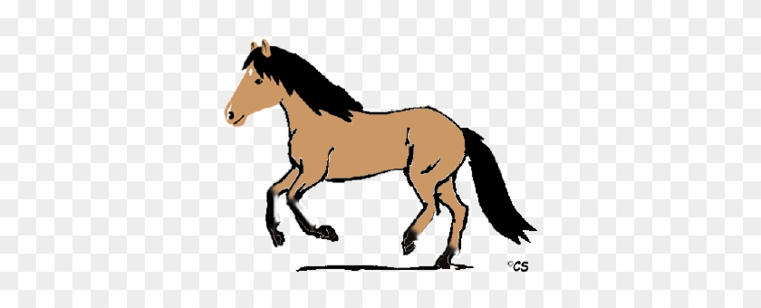 Allen Pferden - Galopp #967358