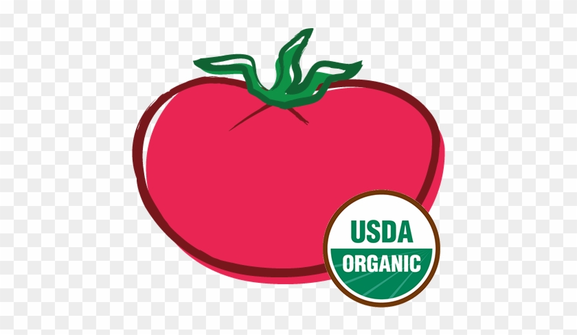 Organic Pink Tomato - Organic Aloe Vera Gel 4 Oz By Mary Tylor Naturals Usda #969211