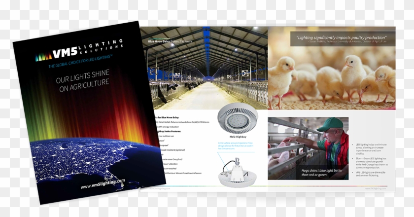 Agriculture Solutions Brochure - Agriculture Solutions Brochure #969836