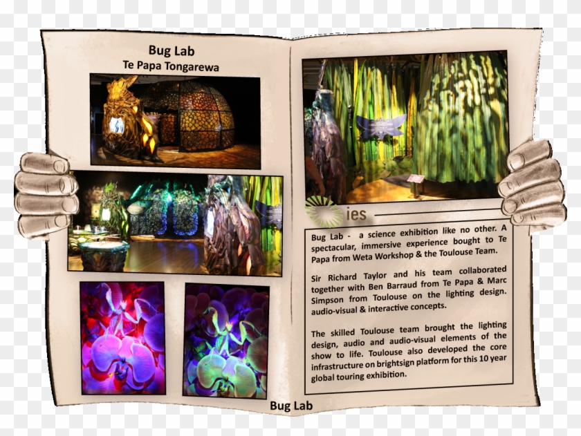 Toulouse Group Lighting Design And Technology Integration - Lighting Designer #969929