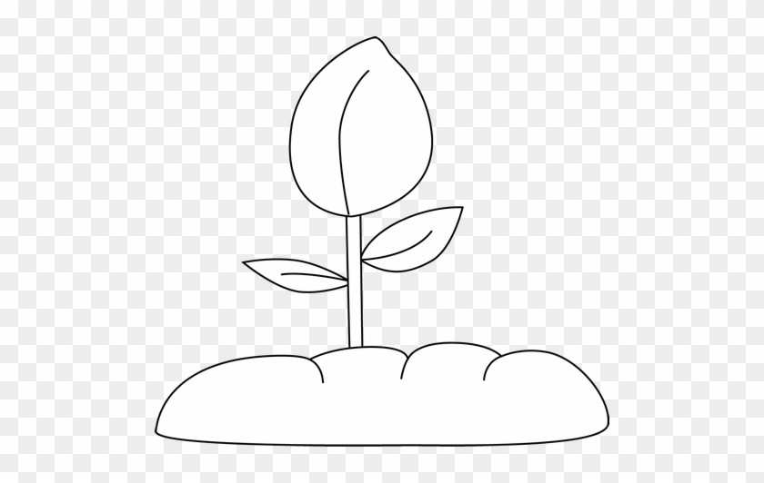 Black And White Plant - Plant Clipart Black And White Png #970399