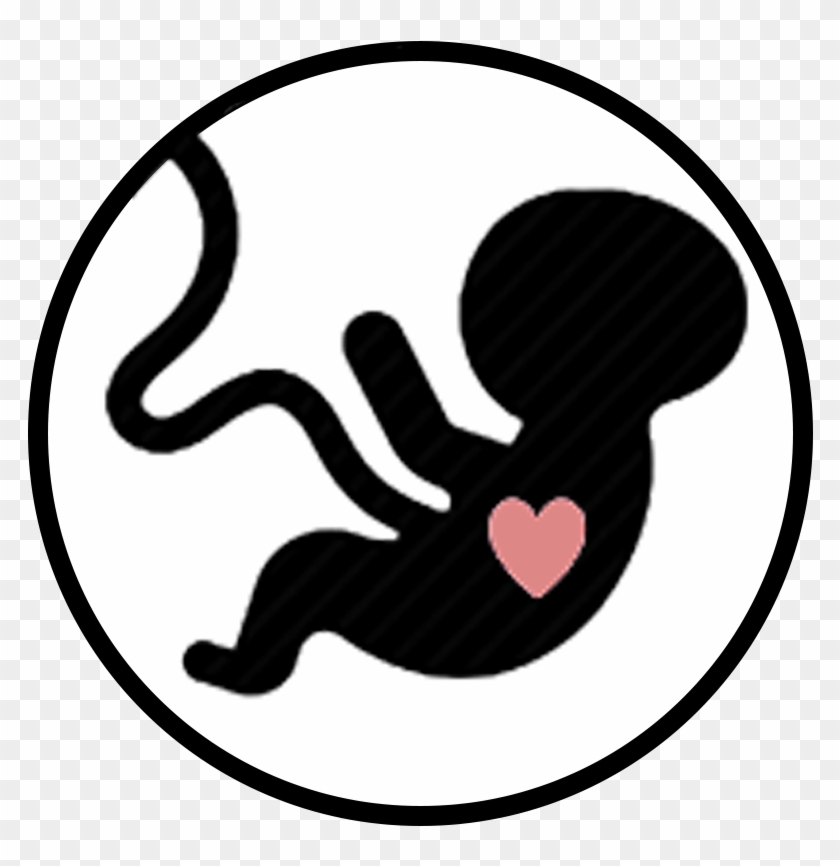 If The Antenatal Period Is Smooth, It Will Be A Sensible - If The Antenatal Period Is Smooth, It Will Be A Sensible #970677