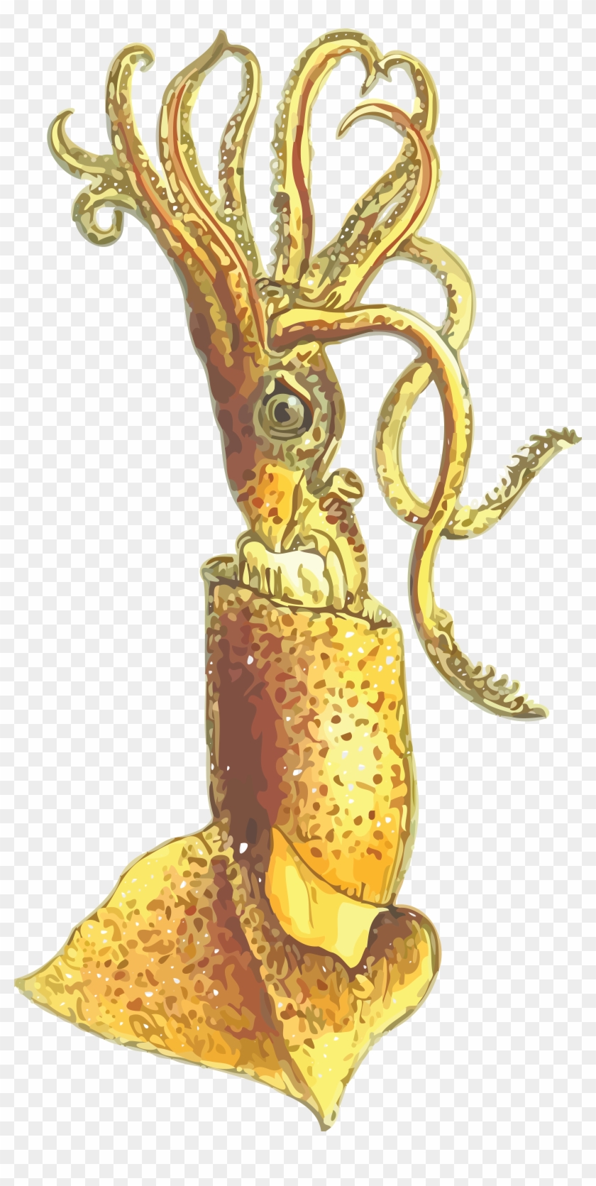 Free Clipart Of A Squid - Squid #970824