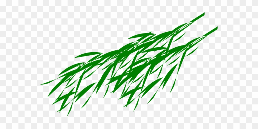 Bamboo Branches Leaves Green Art Biology B - Panda Bear Eating Bamboo #971017