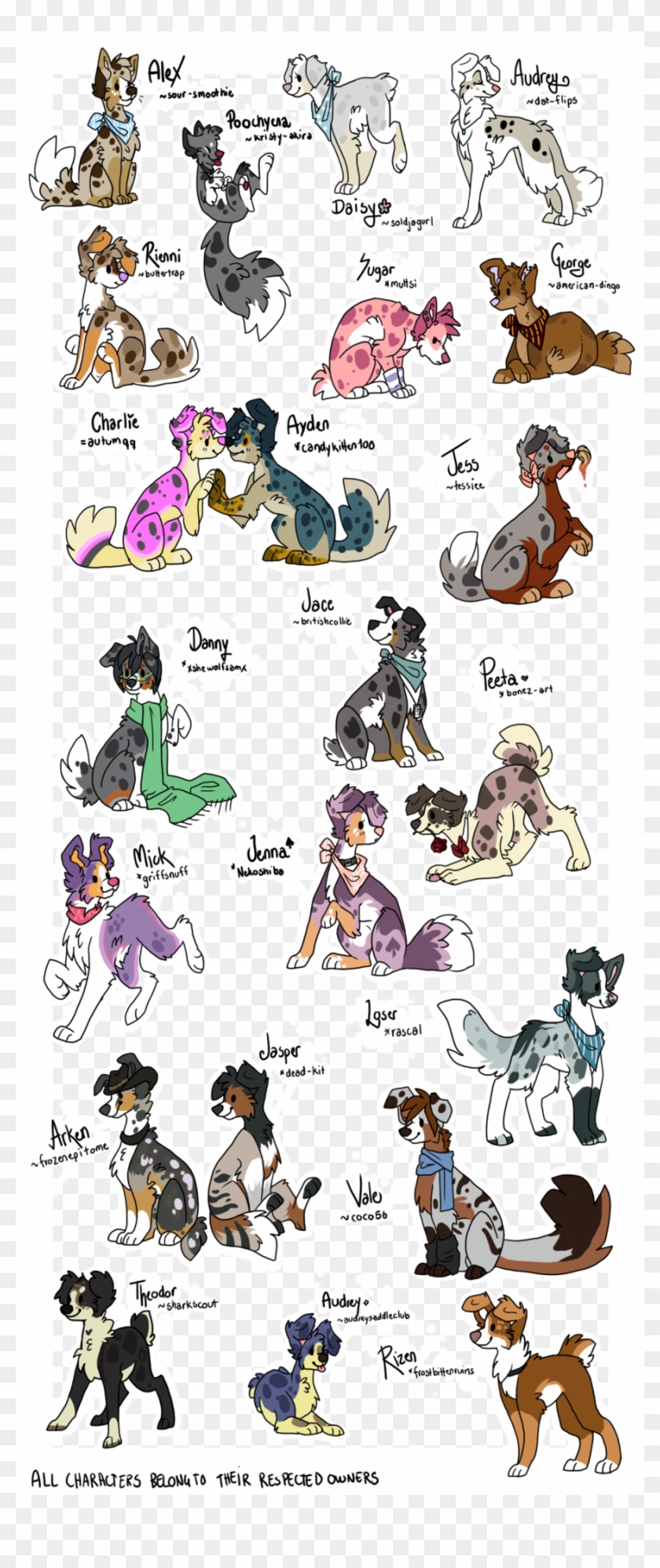 Australian Shepherd #971181