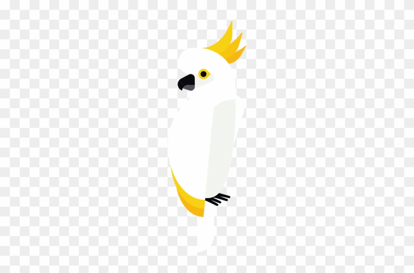 Cockatoo Illustration Transparent Png - Illustration #971319