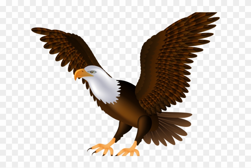 Golden Eagle Clipart Dead Eagle - Bald Eagle Clip Art #971418