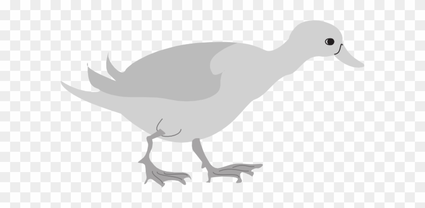 Bird #971910