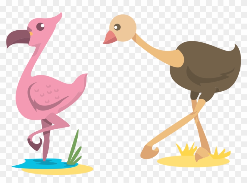 Common Ostrich Cartoon Clip Art - 鴕鳥 卡通 圖 #974010