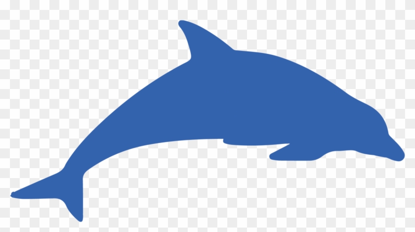 Dolphins Clipart Walking - Dolphin #974619