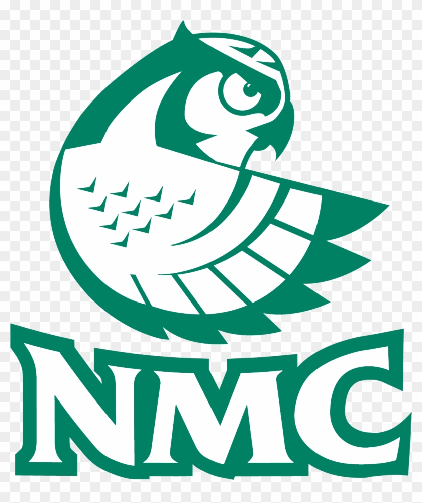 Nmc Foundation - Nmc Hawkowl #975851