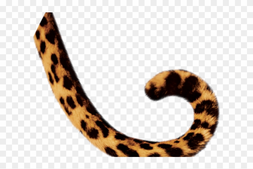 Tail Cliparts - Tail Clipart #976703