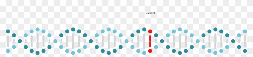 Dna Helix Variant - Circle #978411