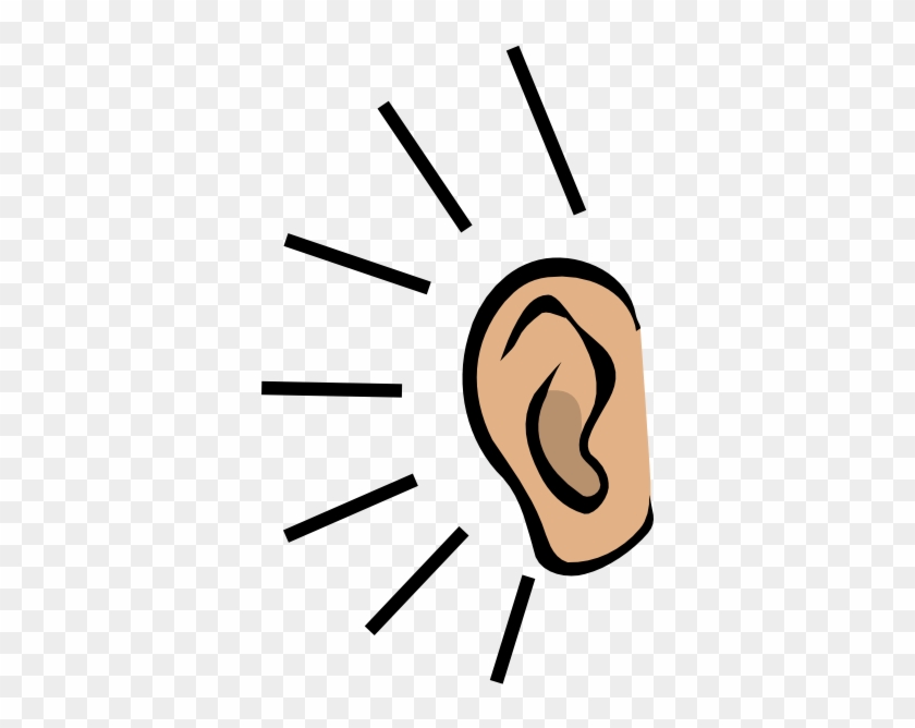 Ears Clipart For Kids - Clip Art #979323