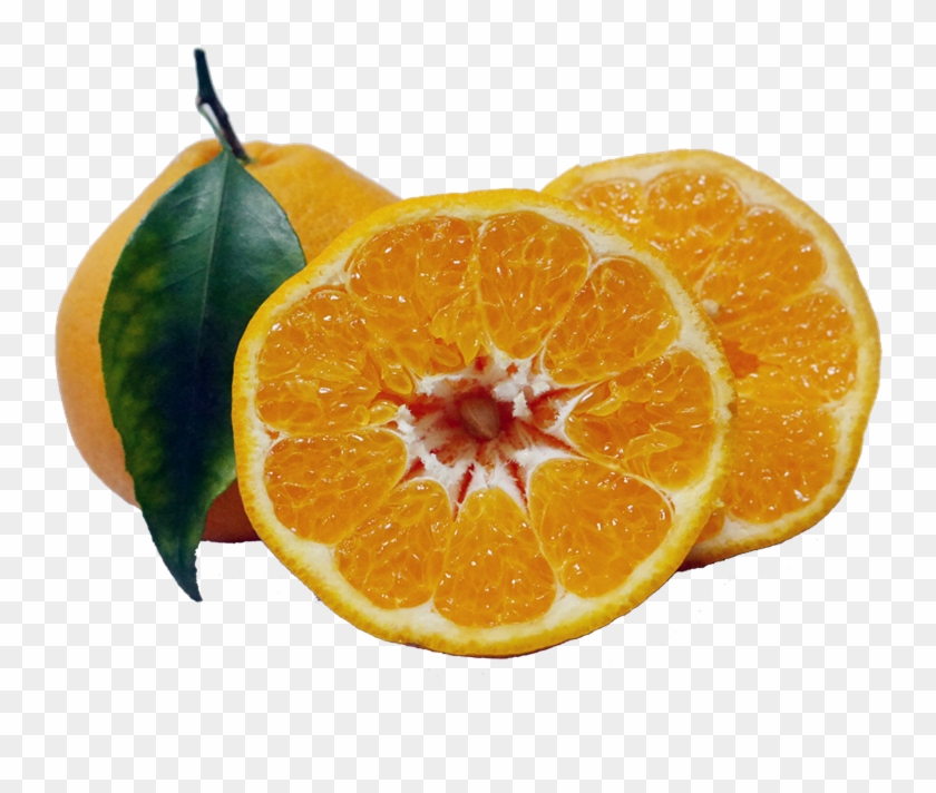   Citric Acid #979764