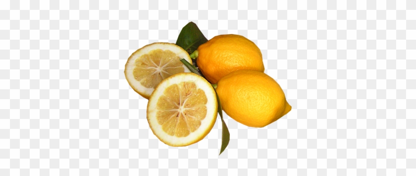 Lemon #979850