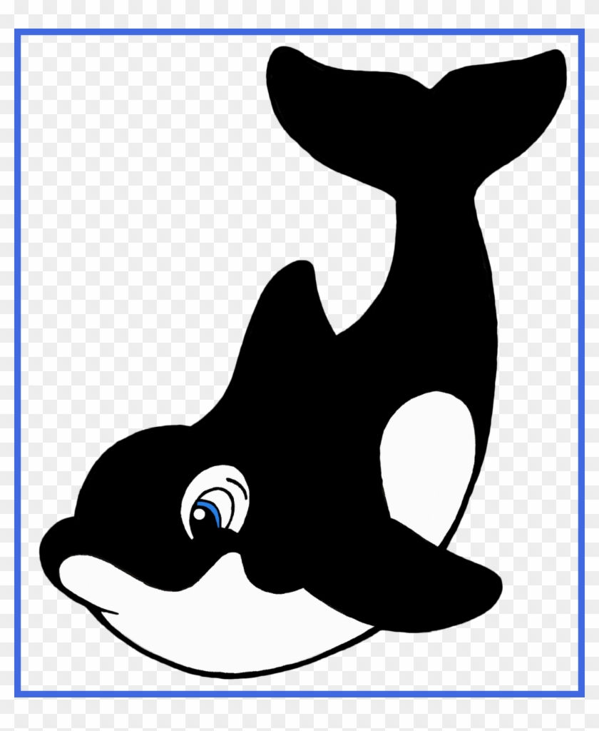 Stunning Hasil Gambar Untuk Spot The Killer Whale Orcas - Killer Whale Cartoon Png #979869