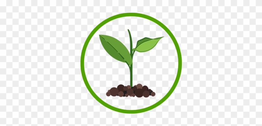Automated Fertilizer Injection Works By Automatically - Plants #982059