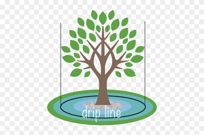 You Will Find Many Recommendations To Water Just Under - Vector Graphics #982201