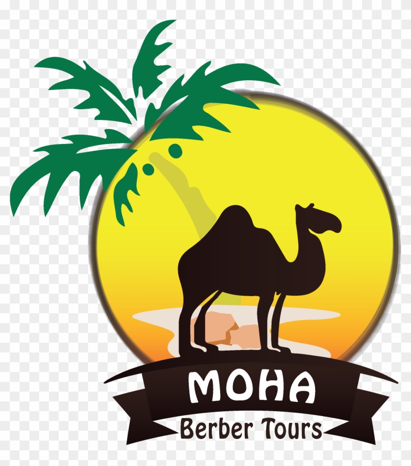 Moha Berber Tours - Berbers #982451