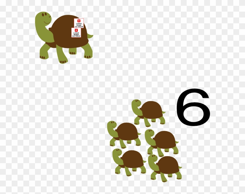 Turtle Clip Art - Brisbane #982674