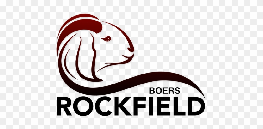 Boer #983608