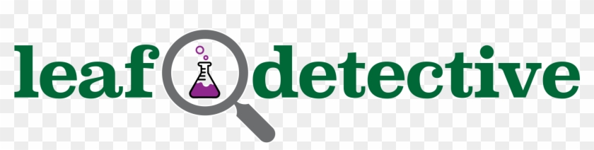 Find This Pin And More On Leaf Detective By Magnaws - Use Both Sides Of Paper #984349