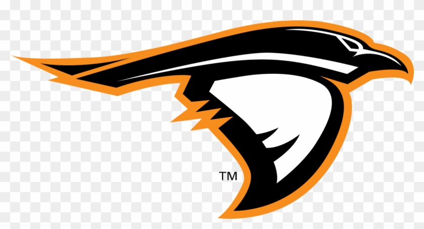 Anderson University Ravens #985480