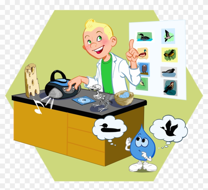 15 Oiseaux En Classe - Classroom #985855