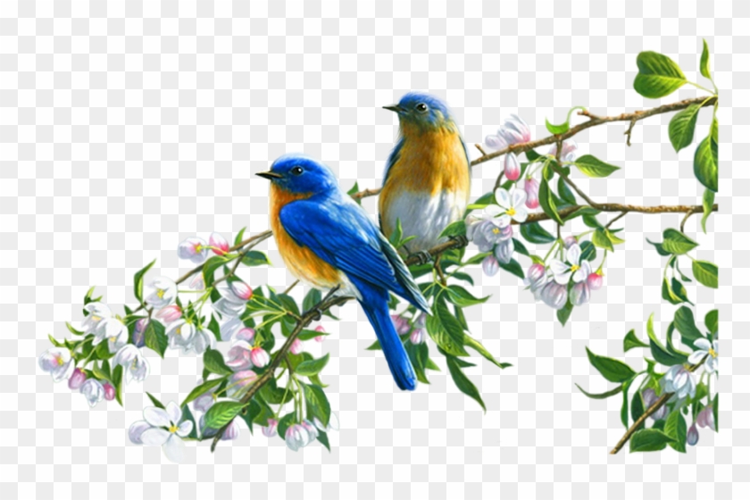 Watchful Birds Champagne Silver Inspirational Cottage #987057