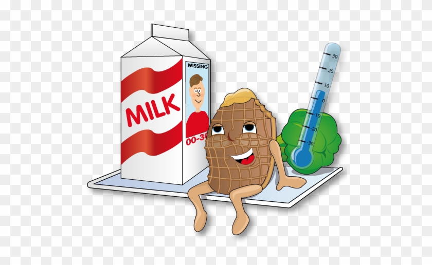 Stroopwafel 3 Stroopwafel 2 - Illustration #987173