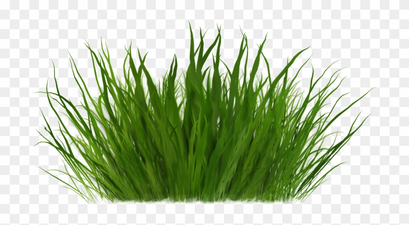 Clip Art - Grass - Clip Art #987241