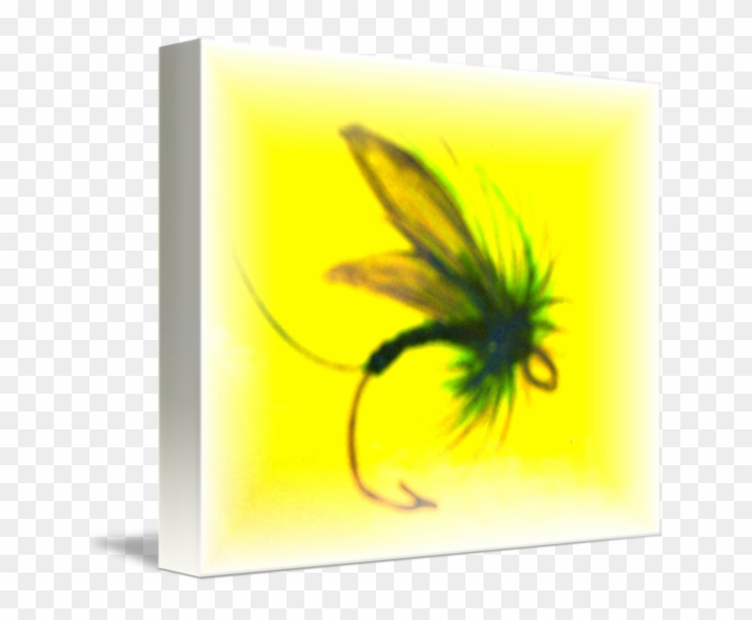 Insect #987578