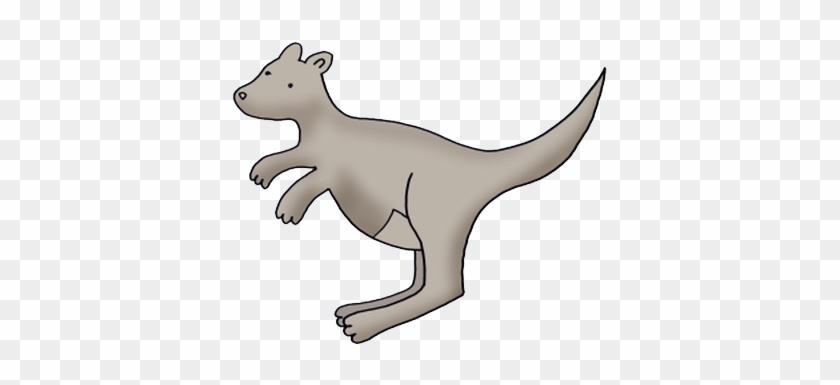 Kangaroo - Kangaroo #987673