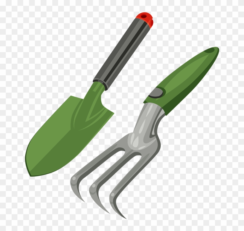 Cards - Tool #988201