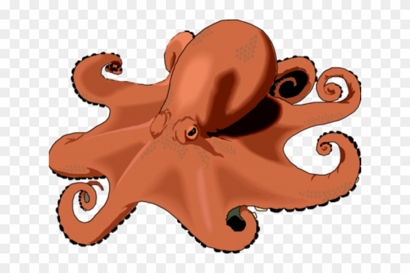 Free Octopus Clipart - Real Octopus Clipart #988726