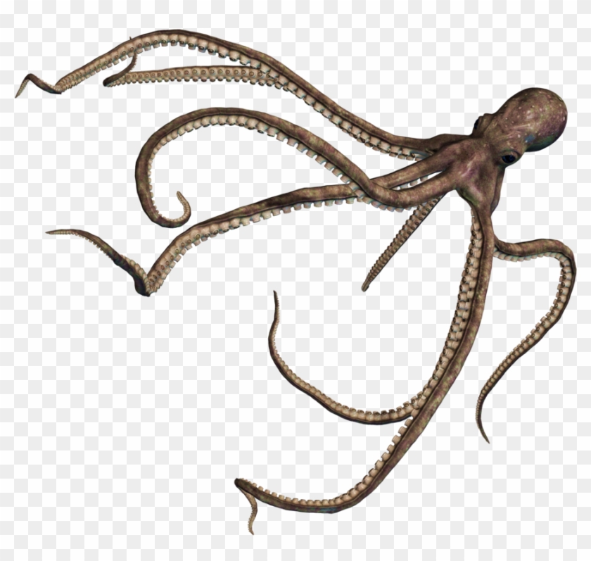 Octopus Png Transparent Images - Octopus Png #988810