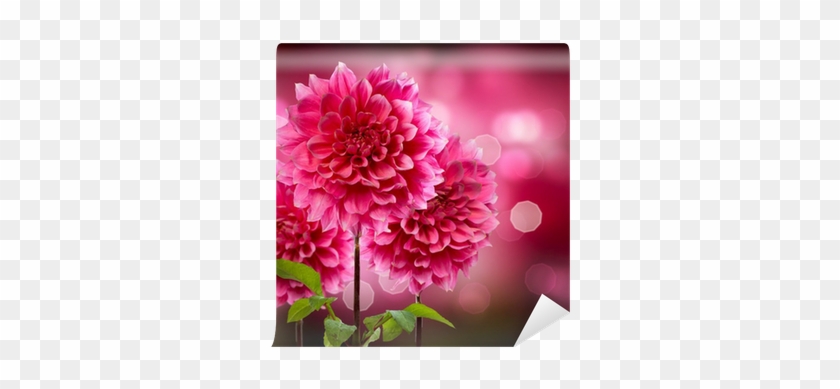Flower #989775