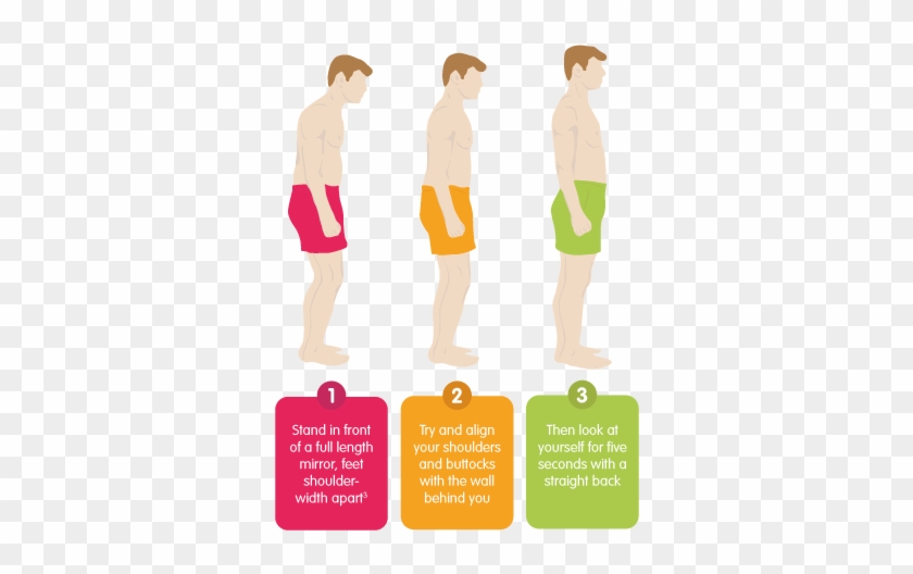 Back Pain Exercise - Illustration #989932