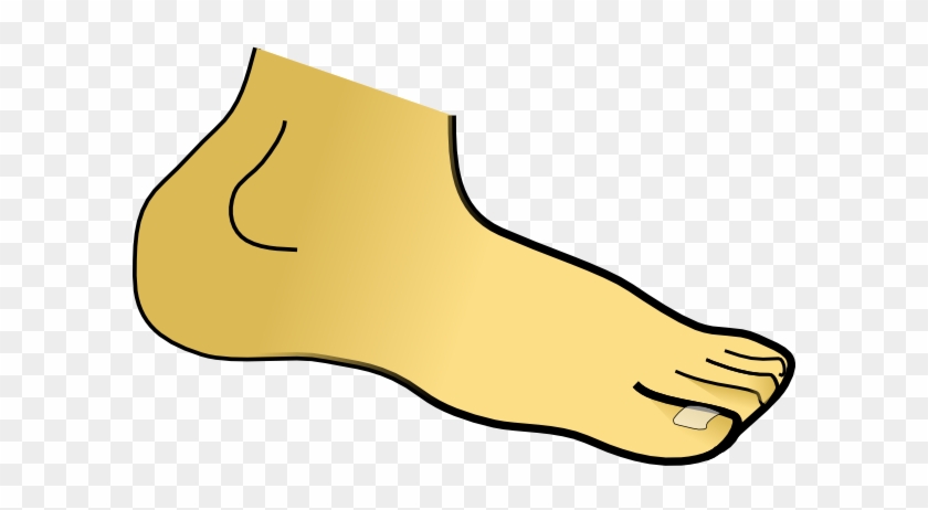 Foot Pictures Clip Art - Clip Art #990328