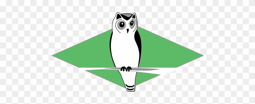 Birding Ecotours - Birding Ecotours #991969