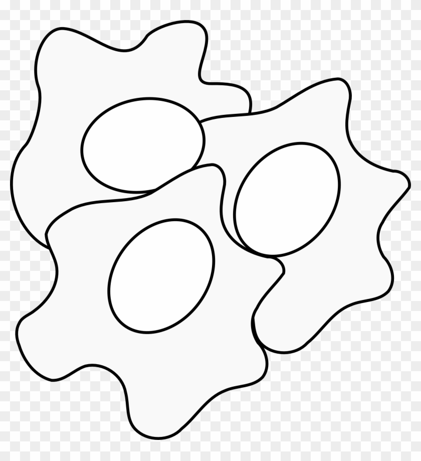 Omelette Fried Egg Clip Art Black And White - Eggs Clip Art #174537
