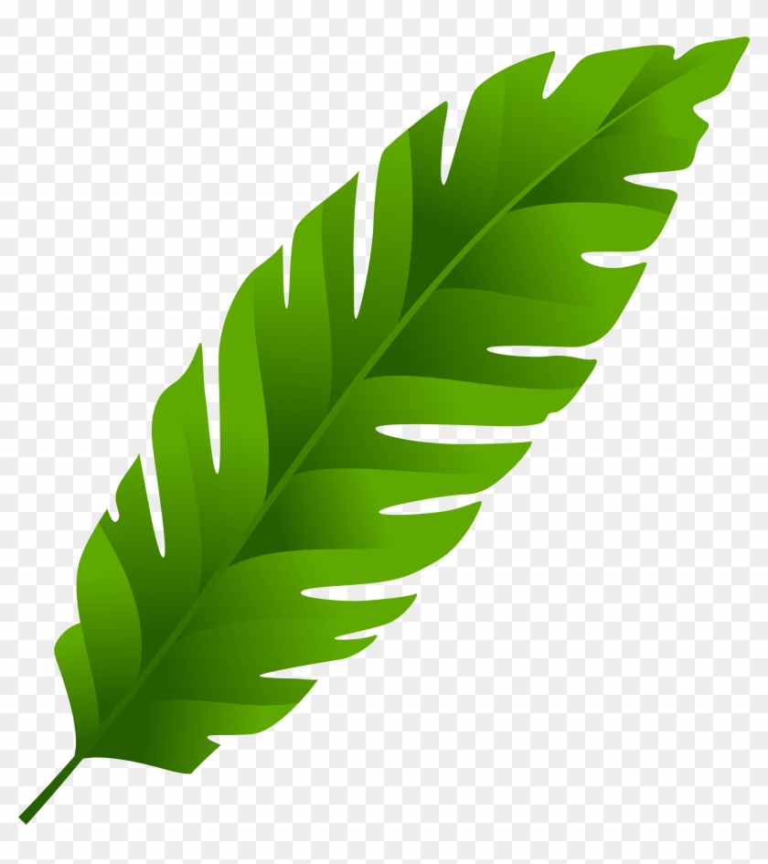 Green Leaf Png Clip Art - Green Leaf Png Clip Art #174628