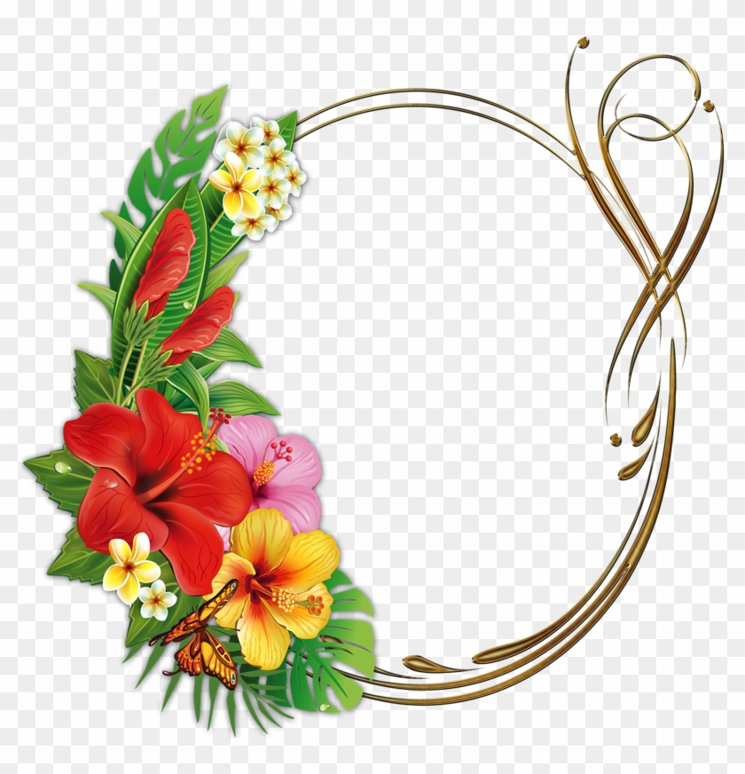 Яндекс - Фотки - Frame Tropical Png #174957
